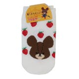 くまのがっこう 子供用靴下 キッズソックス | cinemacollection【KIDS】 | 詳細画像2 