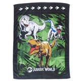 ジュラシックワールド キッズタオルケット お昼寝ケット | cinemacollection【KIDS】 | 詳細画像1