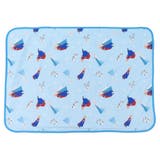 アナと雪の女王 接触冷感ひんやりひざ掛け クールブランケット | cinemacollection | 詳細画像1 