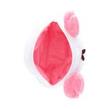 ちいかわ ミニポーチ なりきりmimiポーチ | cinemacollection | 詳細画像4 