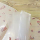 パンどろぼう ポケットファイル ファスナー付き6ポケットクリアファイル | cinemacollection | 詳細画像3 