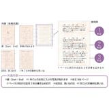 Tomoko Hayashi 日記帳 | cinemacollection | 詳細画像2 