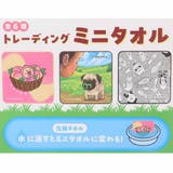 こびとづかん ハンドタオル トレーディングミニタオル | cinemacollection | 詳細画像4
