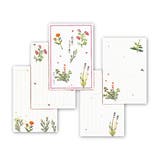 ポストカード ハガキ箋 ハーブの薫り2 | cinemacollection | 詳細画像1 