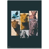 ライオンキング ムファサ クリアファイル | cinemacollection | 詳細画像1 