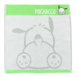 ポチャッコ ハンドタオル 無撚糸パイルジャカード | cinemacollection | 詳細画像1