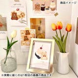 ROKKAKU x cafe | cinemacollection | 詳細画像6