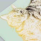 ROKKAKU x 365Cat | cinemacollection | 詳細画像4