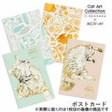 ROKKAKU x 365Cat | cinemacollection | 詳細画像5