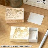 ROKKAKU x 365Cat | cinemacollection | 詳細画像6
