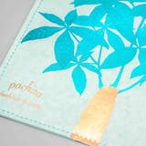 ROKKAKU Hakuoshi Botanical | cinemacollection | 詳細画像3