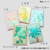 ROKKAKU Hakuoshi Botanical | cinemacollection | 詳細画像7