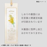 ROKKAKU Hakuoshi Botanical | cinemacollection | 詳細画像4 