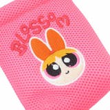 パワーパフガールズ 巾着袋 ふんわりminiメッシュ巾着 | cinemacollection | 詳細画像4