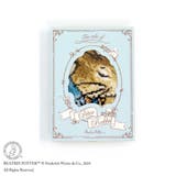 ピーターラビット ミニタオル シェニール織タオルハンカチ | cinemacollection | 詳細画像3