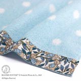 ピーターラビット ミニタオル フルフィーコットン無撚糸タオルハンカチ | cinemacollection | 詳細画像2