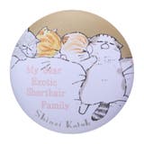 Shinzi Katoh シンジ | cinemacollection | 詳細画像1
