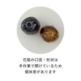 花瓶 Glass cat | cinemacollection | 詳細画像6 