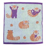 ハンドタオル ウォッシュタオル レッサー | cinemacollection | 詳細画像6 