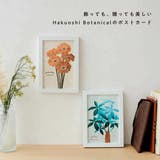 Hakuoshi Botanical POSTCARD | cinemacollection | 詳細画像6 