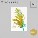 Hakuoshi Botanical POSTCARD | cinemacollection | 詳細画像2 