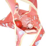 白雪姫 エコバッグ ミニショッピングバッグA | cinemacollection | 詳細画像3 