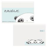 たれぱんだ カードケース マイナカードクリアケース | cinemacollection | 詳細画像1