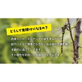 虫除けグッズ しましま虫除けキーホルダー シンプル | cinemacollection | 詳細画像5 