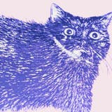 Cat Art Collection | cinemacollection | 詳細画像5