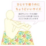 名探偵プリキュア ピクニック用品 レジャーシート | cinemacollection | 詳細画像4