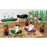 concombre ほろ酔い、夏宵 夕涼み | cinemacollection | 詳細画像5