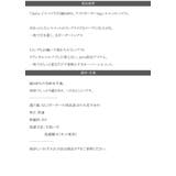 《JaVa ジャバコラボ》綿100%、ワイドボーダーbigシルエットトップス | Classical Elf | 詳細画像25