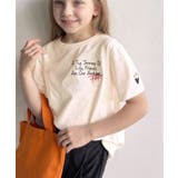 【キッズ】親子リンクコーデも楽しめる！綿100%らくがき風刺繍 無地＆ボーダー柄… | Classical Elf kids | 詳細画像13 