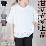 袖レース カットソー ブラウス | CLOVERDEPOT | 詳細画像1