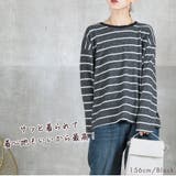 ボーダーニットトップス レディース コットン配合 | CLOVERDEPOT | 詳細画像7