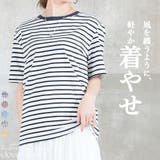 ボーダーTシャツ ボーダー Tシャツ | CLOVERDEPOT | 詳細画像1 