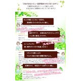 セットアップ スウェット ジャージ | CLOVERDEPOT | 詳細画像6