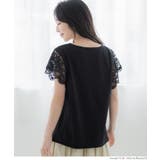 \新色登場/袖レースカットソー | coca | 詳細画像24
