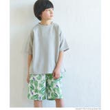 ［Ivory］ | アソート総柄ショートパンツ キッズ | coca