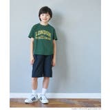 ［Dk.green］ | アソートプリントTシャツ キッズ | coca