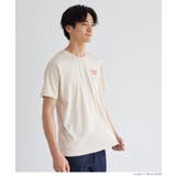 ［D］ | アソートプリントTシャツ メンズ レディース | coca