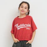 クロップドラグランTシャツ | coca | 詳細画像1