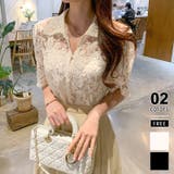 ベージュ | レースブラウス キャミソールセット シアーブラウス | COCOMOMO