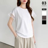 ホワイト | 【透け感で差をつける】 袖シアーコットンTシャツ 袖チュールトップス | COCOMOMO