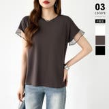 ダークグレー | 【透け感で差をつける】 袖シアーコットンTシャツ 袖チュールトップス | COCOMOMO