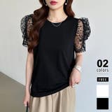 ブラック | ドットチュールで華やかに パフスリーブトップス 半袖カットソー | COCOMOMO