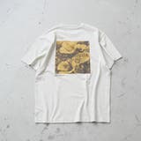 フォトグラフィックTシャツ | coen【men】 | 詳細画像11