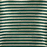 <Parknik>マルチボーダーTシャツ | coen【men】 | 詳細画像18