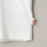 Coleman(コールマン)ランタンCOOL Tシャツ ー接触冷感ー | coen【men】 | 詳細画像36