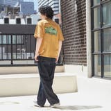 SIERRA DESIGNS（シエラデザインズ）別注ポケットTシャツ | coen【men】 | 詳細画像17 